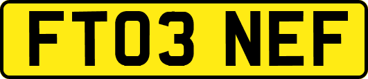 FT03NEF