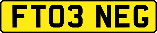 FT03NEG