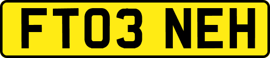 FT03NEH