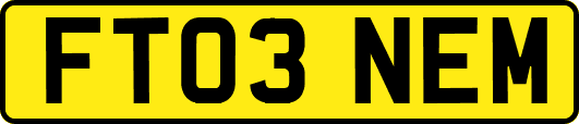 FT03NEM