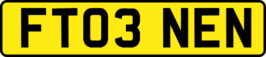 FT03NEN