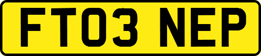 FT03NEP