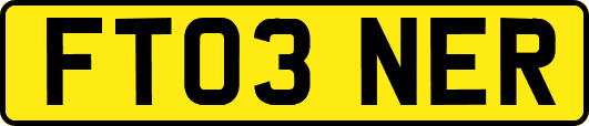 FT03NER