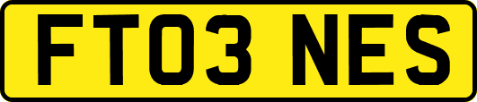 FT03NES