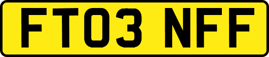 FT03NFF