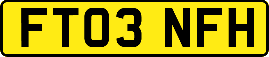 FT03NFH