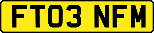 FT03NFM