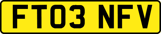 FT03NFV