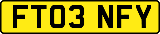 FT03NFY