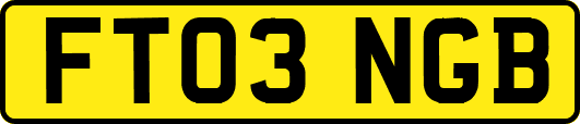 FT03NGB