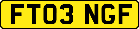 FT03NGF