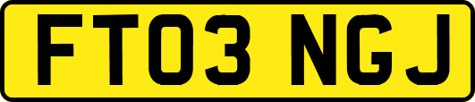 FT03NGJ