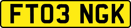 FT03NGK