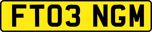 FT03NGM