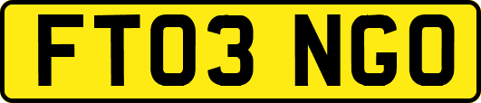 FT03NGO