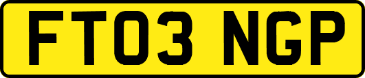 FT03NGP