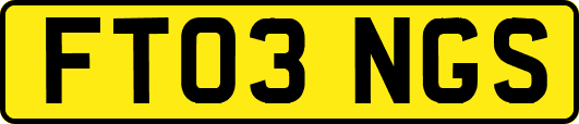 FT03NGS