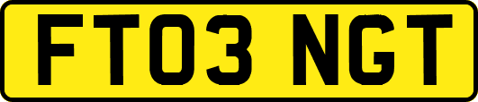 FT03NGT