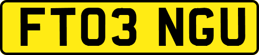 FT03NGU