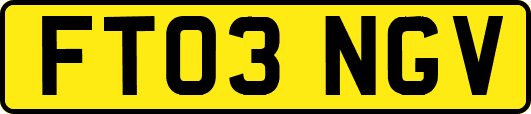 FT03NGV