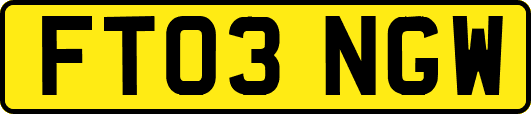 FT03NGW