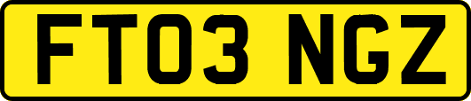 FT03NGZ