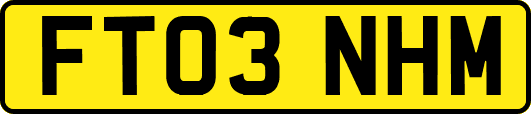 FT03NHM