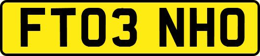 FT03NHO