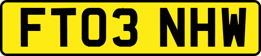 FT03NHW