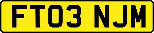 FT03NJM