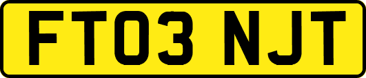 FT03NJT