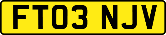 FT03NJV
