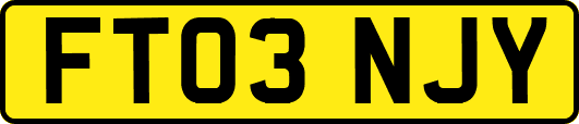 FT03NJY