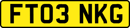 FT03NKG