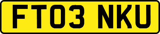 FT03NKU