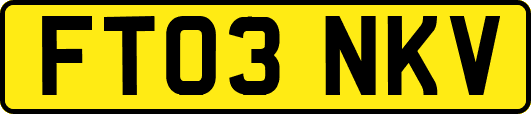 FT03NKV