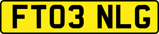 FT03NLG