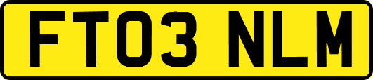 FT03NLM