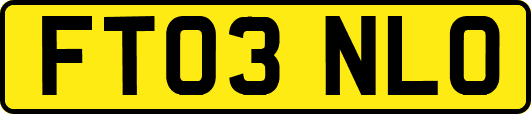 FT03NLO