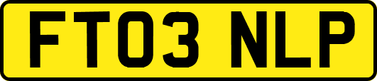 FT03NLP