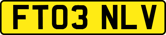 FT03NLV