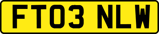 FT03NLW