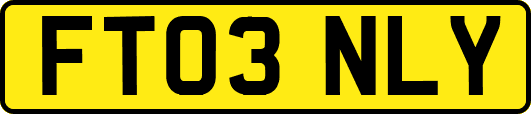 FT03NLY