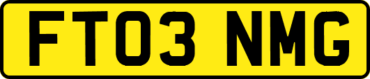 FT03NMG