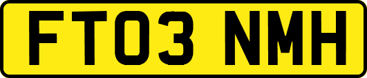 FT03NMH