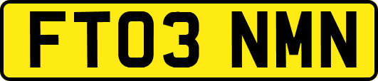 FT03NMN