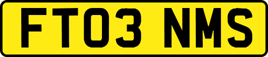 FT03NMS
