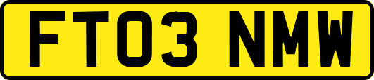 FT03NMW