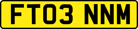 FT03NNM