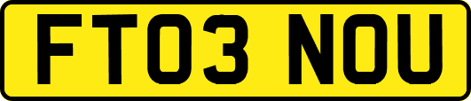 FT03NOU